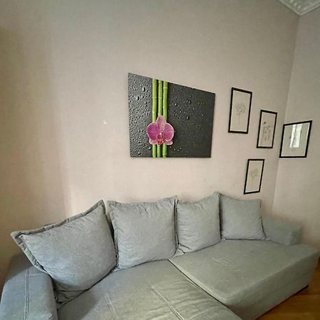 Gemutliche Wohnung Mit Super Lage Вена Экстерьер фото